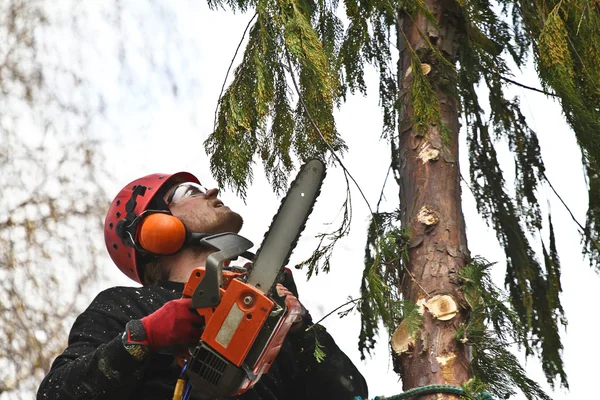 Man with woodcutter in action — Stock fotografie