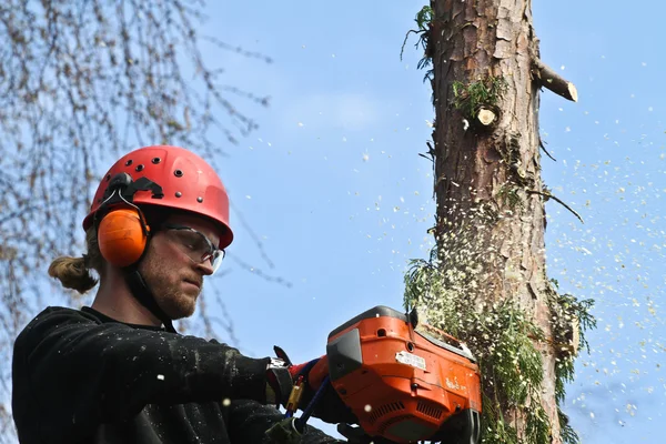 Mann mit Holzfäller im Einsatz — Stockfoto