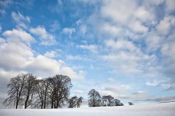 Paysages d'hiver au Danemark — Photo