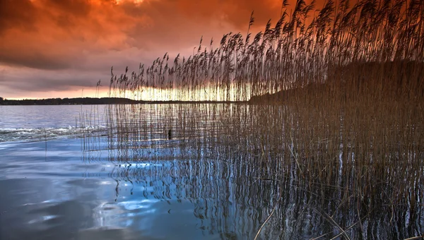 Lago em denmark no inverno — Fotografia de Stock