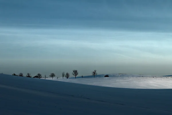 Winter field covered by snow — Stock Photo, Image