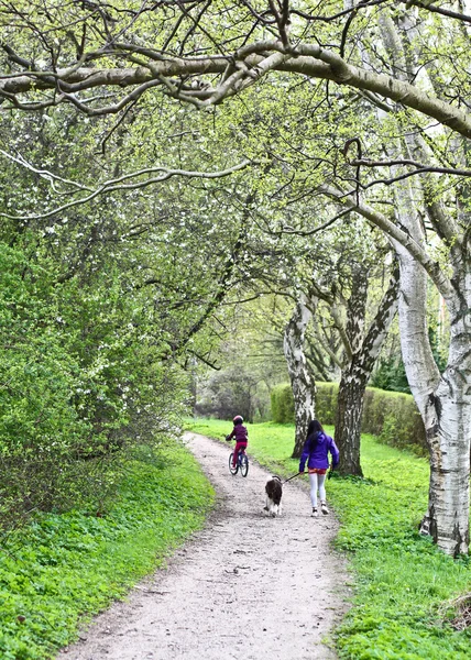 Familia caminando en el parque — Foto de Stock