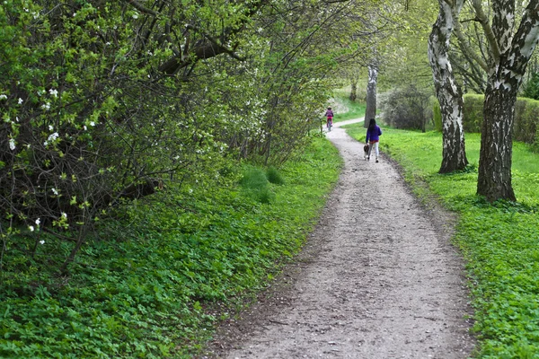 Family walking in the park — Stock Photo, Image