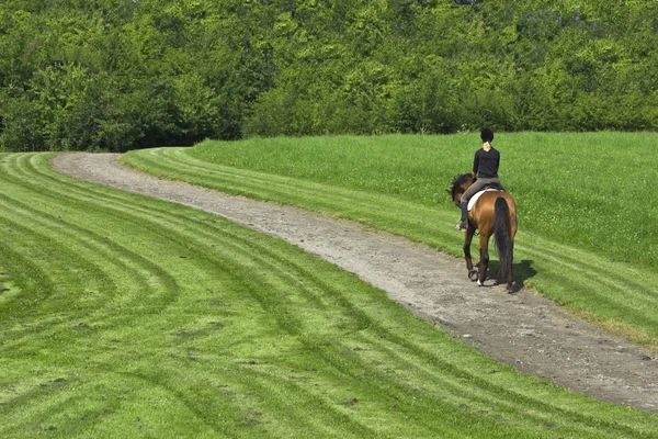 Fille monter sur un cheval — Photo