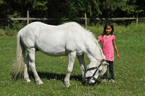 Κορίτσι με ένα άσπρο άλογο — Φωτογραφία Αρχείου