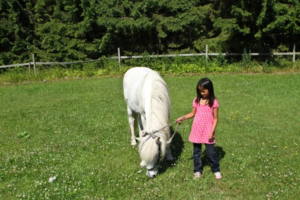 Flicka med en vit häst — Stockfoto