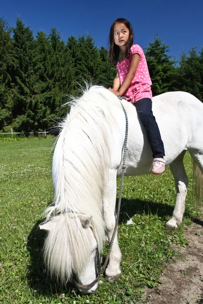 Mädchen mit einem weißen Pferd — Stockfoto