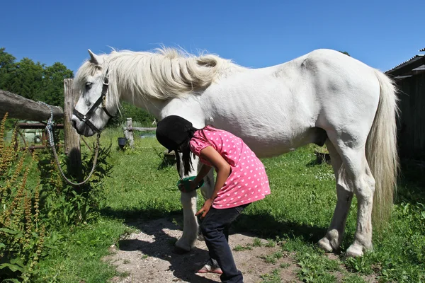 Chica con un caballo blanco i — Foto de Stock