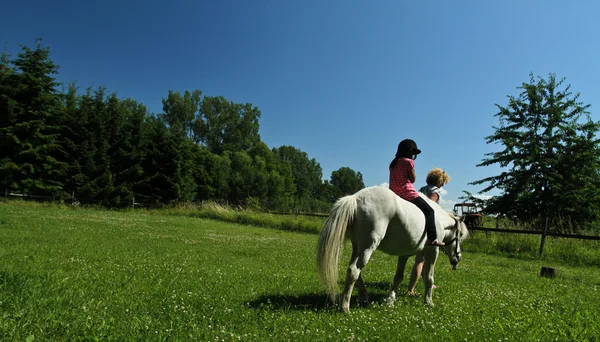 Meisje bevrijden van een wit paard — Stockfoto