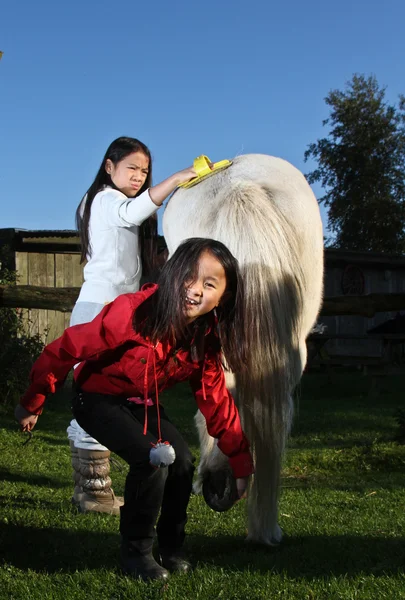 Två tjejer med en vit häst — Stockfoto