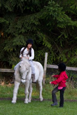 Kız sürme bir beyaz at