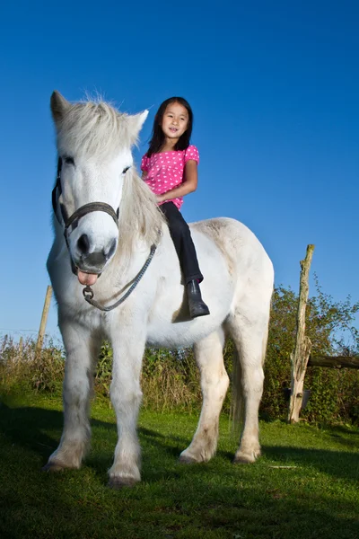 Κορίτσι, απαλλάσσοντας το άσπρο άλογο — Φωτογραφία Αρχείου