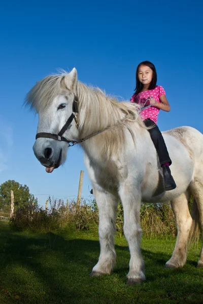 Girl ridding a white horse — Stock Photo, Image