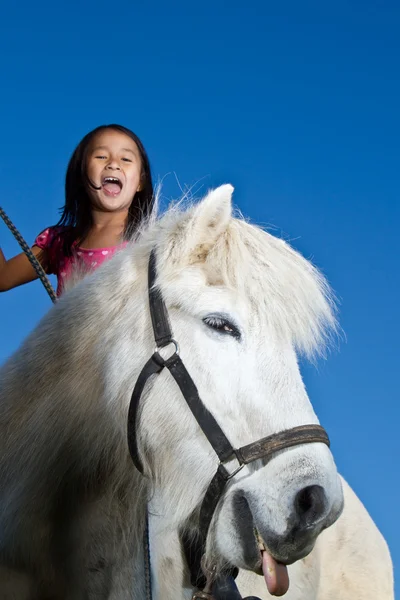 Chica librando a un caballo blanco — Foto de Stock