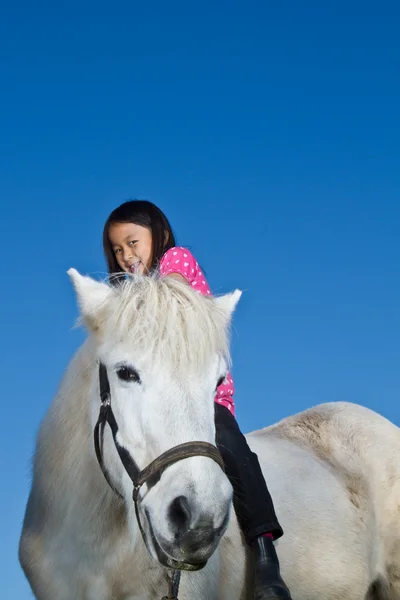 女の子の白い馬をなくし — ストック写真