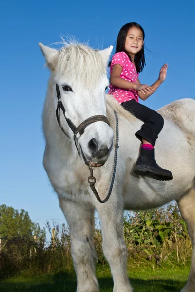 女の子の白い馬をなくし — ストック写真