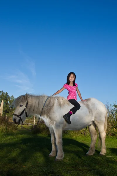 Flicka befria en vit häst — Stockfoto