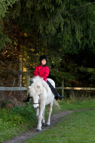 Дівчина білий кінь — стокове фото