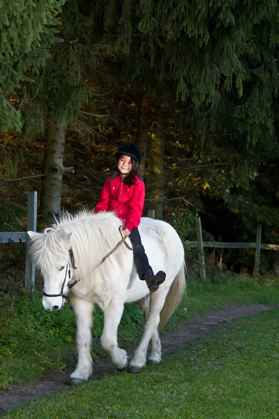 女の子の白い馬をなくし — ストック写真