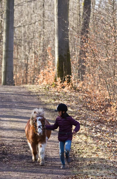 Ormandaki bir at ile kız — Stok fotoğraf