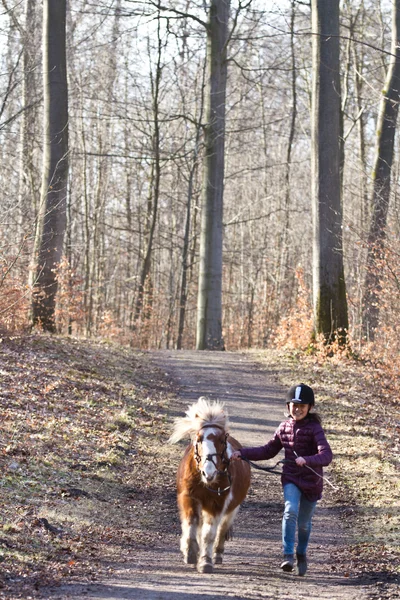 Meisje met een paard in bos — Stockfoto