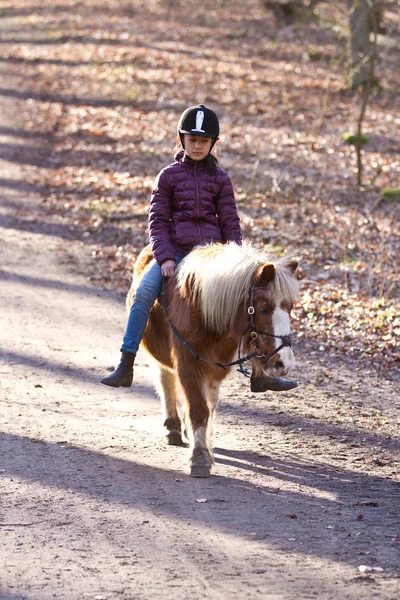 Dziewczyna z konia w lesie — Zdjęcie stockowe