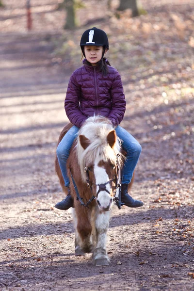 Ragazza con un cavallo nella foresta — Foto Stock