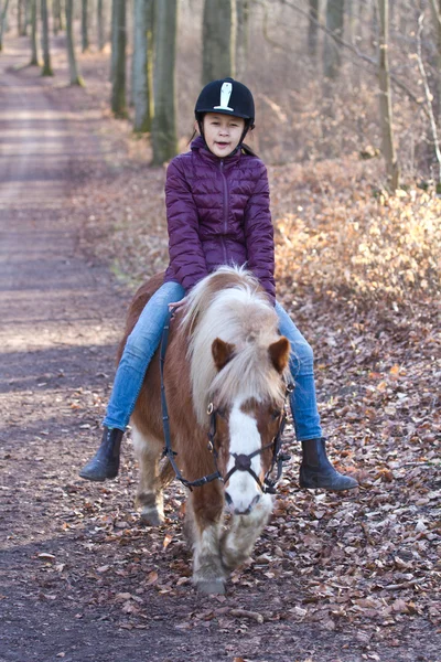 Flicka med en häst i skogen — Stockfoto