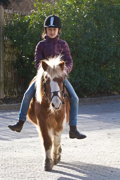 Flicka med en häst i park — Stockfoto