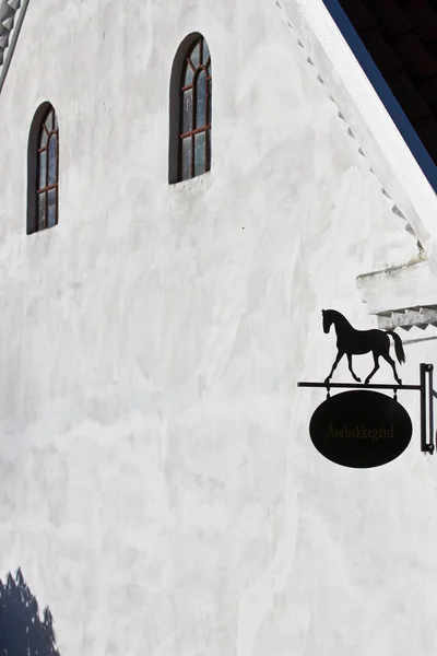馬と白い壁 — ストック写真