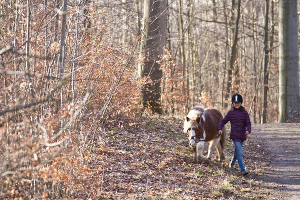 Flicka med en häst i skogen — Stockfoto