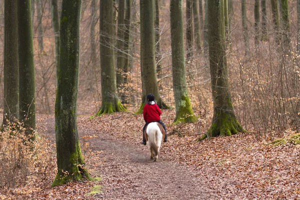 Menina com um cavalo na floresta — Fotografia de Stock