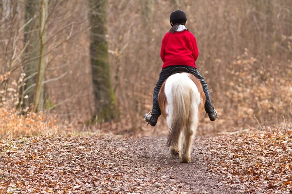 Meisje met een paard in bos — Stockfoto