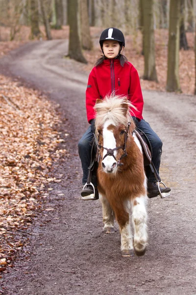 Chica con un caballo en el bosque —  Fotos de Stock