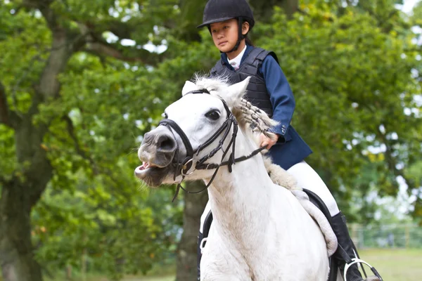 Chica librando a un caballo blanco — Foto de Stock