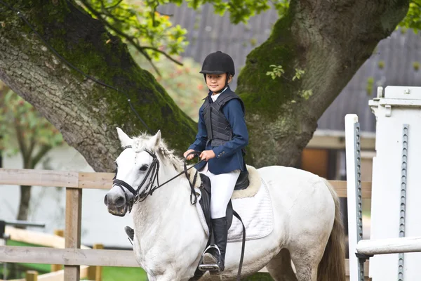 Flicka befria en vit häst — Stockfoto