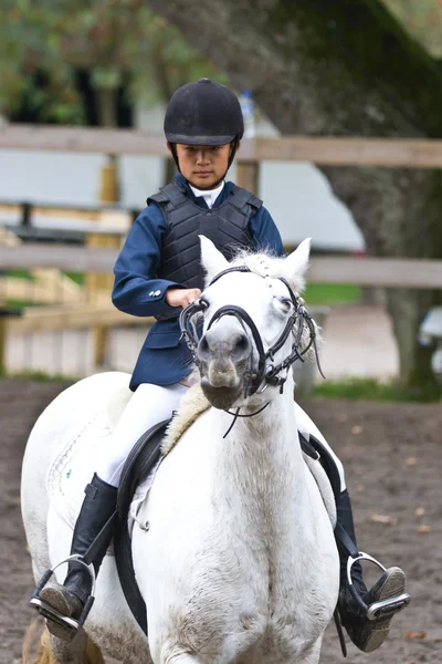 骑一匹白马的女孩 — 图库照片