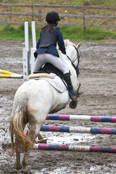 Menina livrando um cavalo branco — Fotografia de Stock