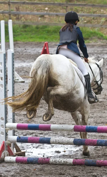 Menina livrando um cavalo branco — Fotografia de Stock