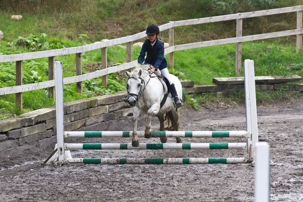 Menina livrando um cavalo branco — Fotografia de Stock