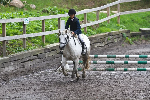 Menina livrando um cavalo branco — Fotografia de Stock