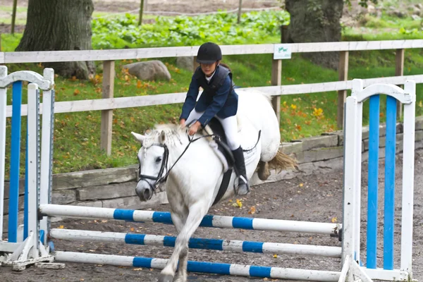 Beyaz bir at ridding kız — Stok fotoğraf