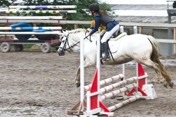 Menina livrando um cavalo branco — Fotografia de Stock