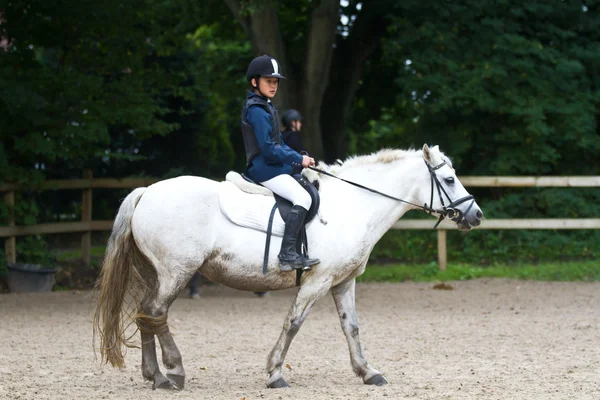 Chica librando a un caballo blanco — Foto de Stock