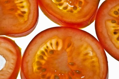 domates seamless modeli