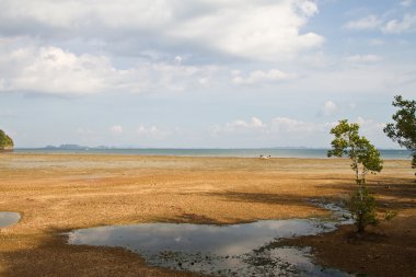 Tayland plaj manzarası
