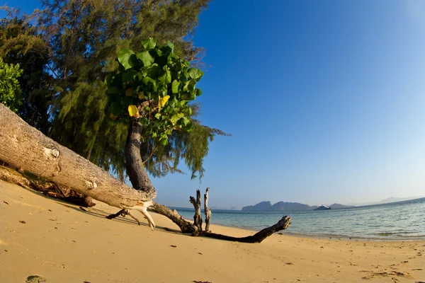 태국에서 해변 보기 — 스톡 사진