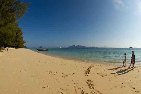 Familie in tropic beach — Stockfoto