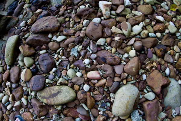 Steine an einem Strand in Thailand — Stockfoto