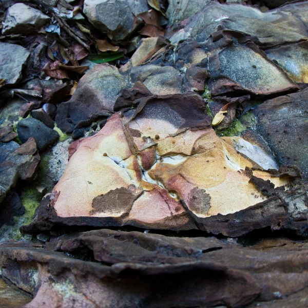 Pedras em uma praia na Tailândia — Fotografia de Stock